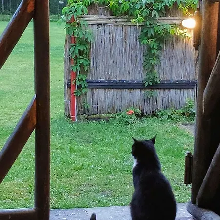 Hostel White House Uulu