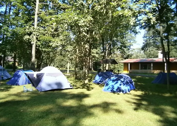 ホステル White House Puhkemaja