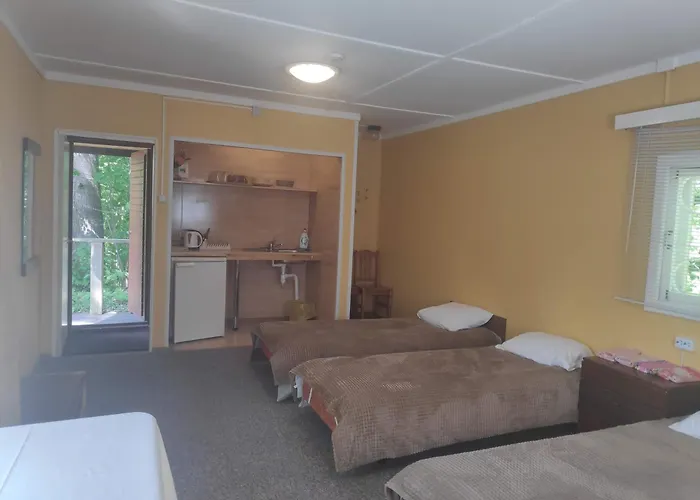 ホステル White House Puhkemaja *