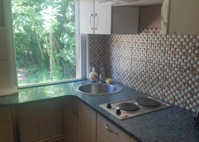 White House Puhkemaja ホステル Uulu