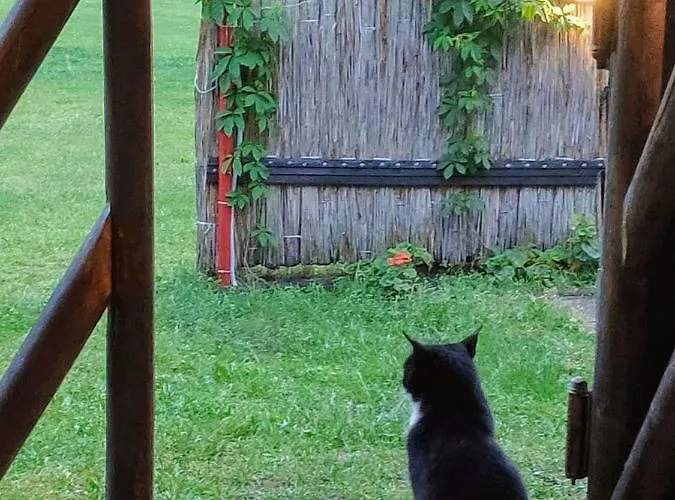 ホステル White House Puhkemaja Uulu